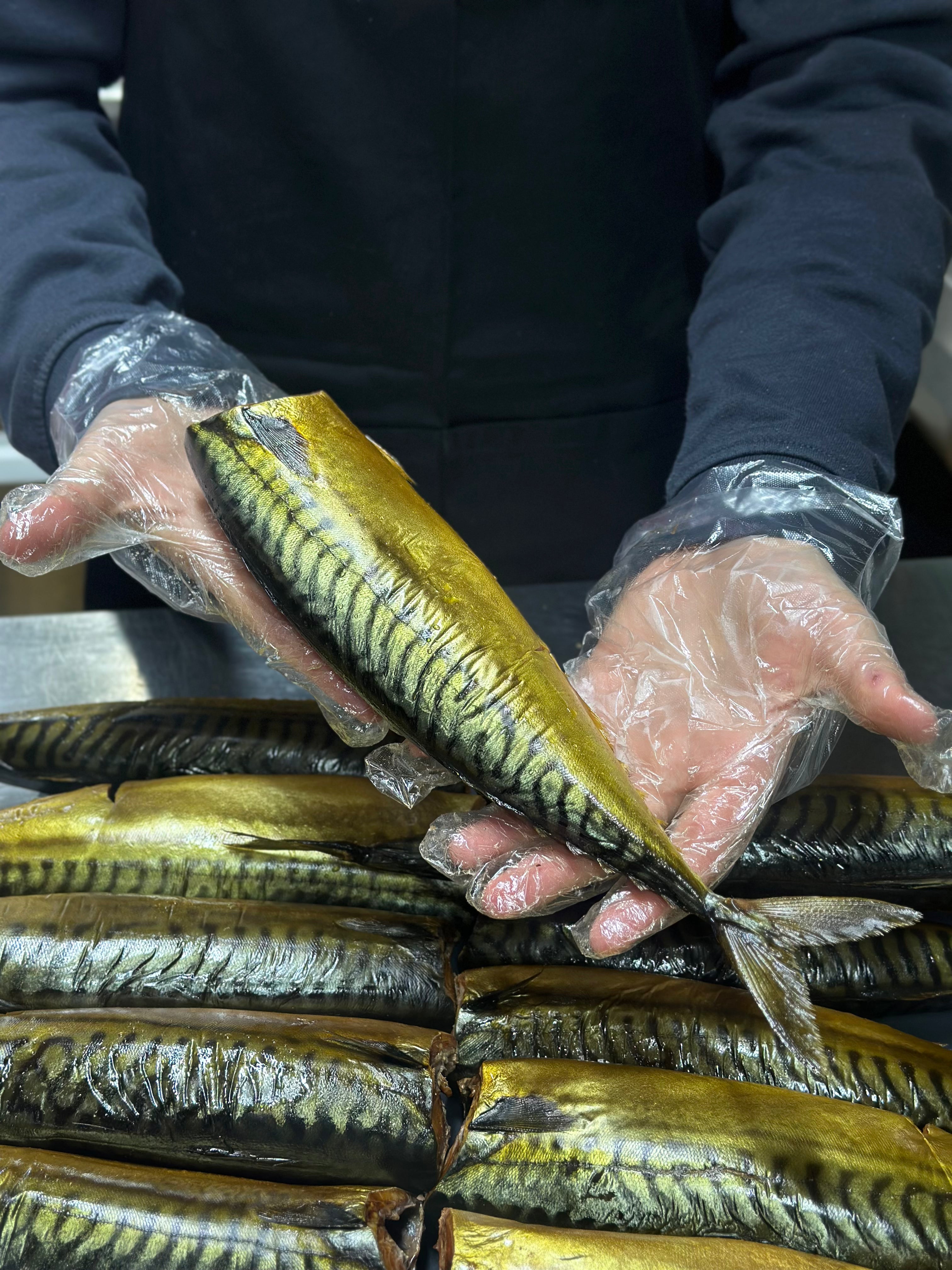 Скумбрія холодного копчення