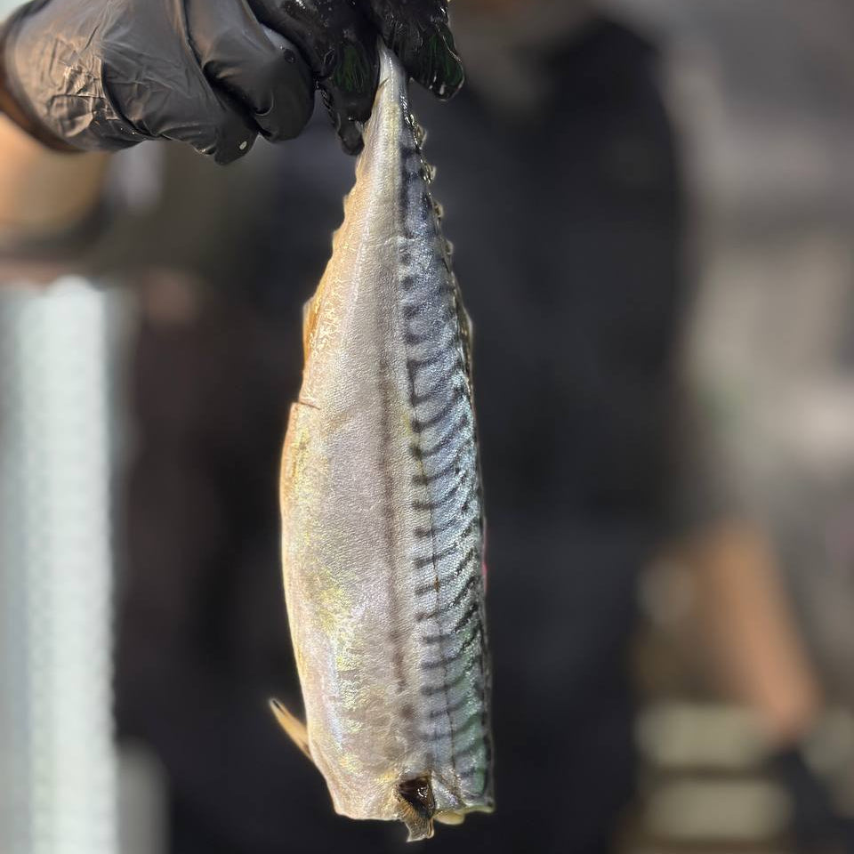 Скумбрія малосольна (патрана)