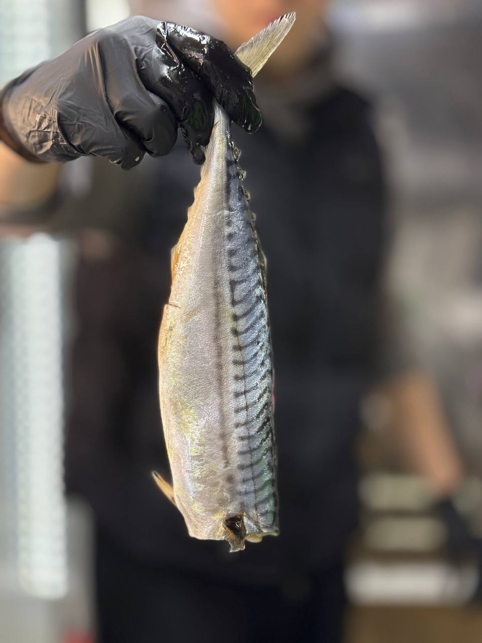 Скумбрія малосольна (патрана)