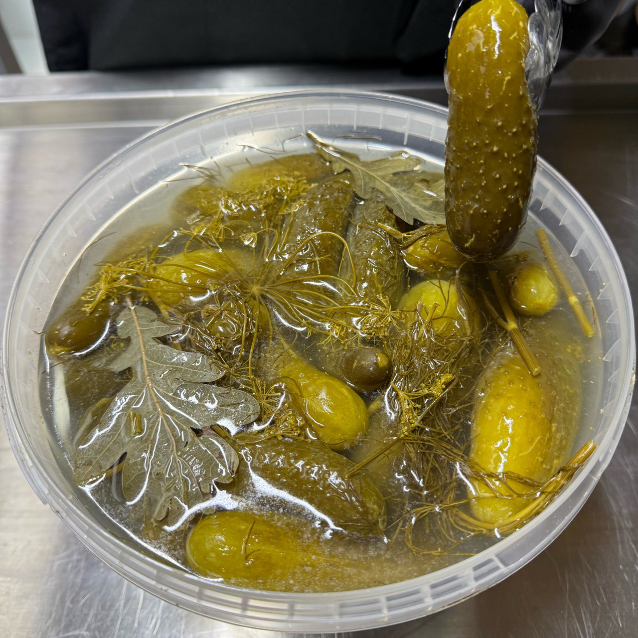 Огірок квашений