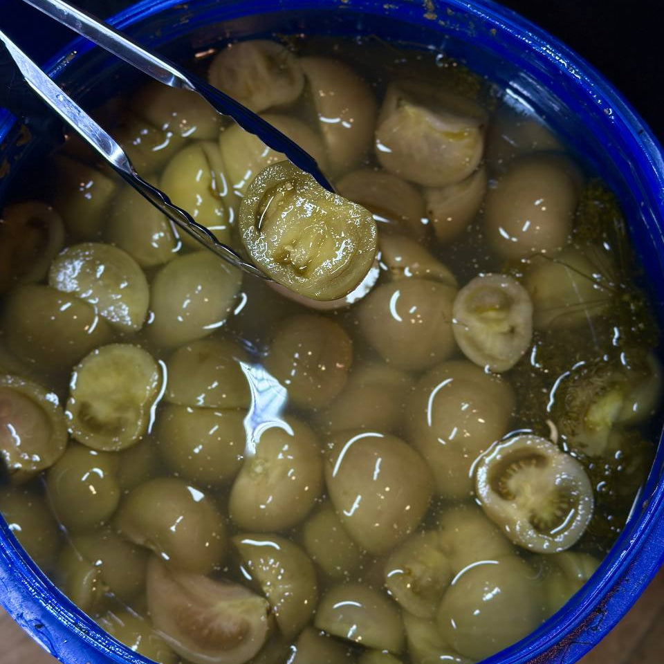 Помідор квашений зелений