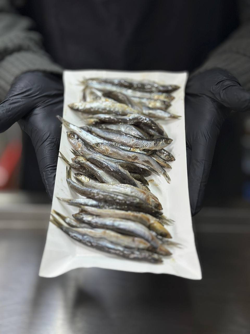 Хамса малосольна провісна