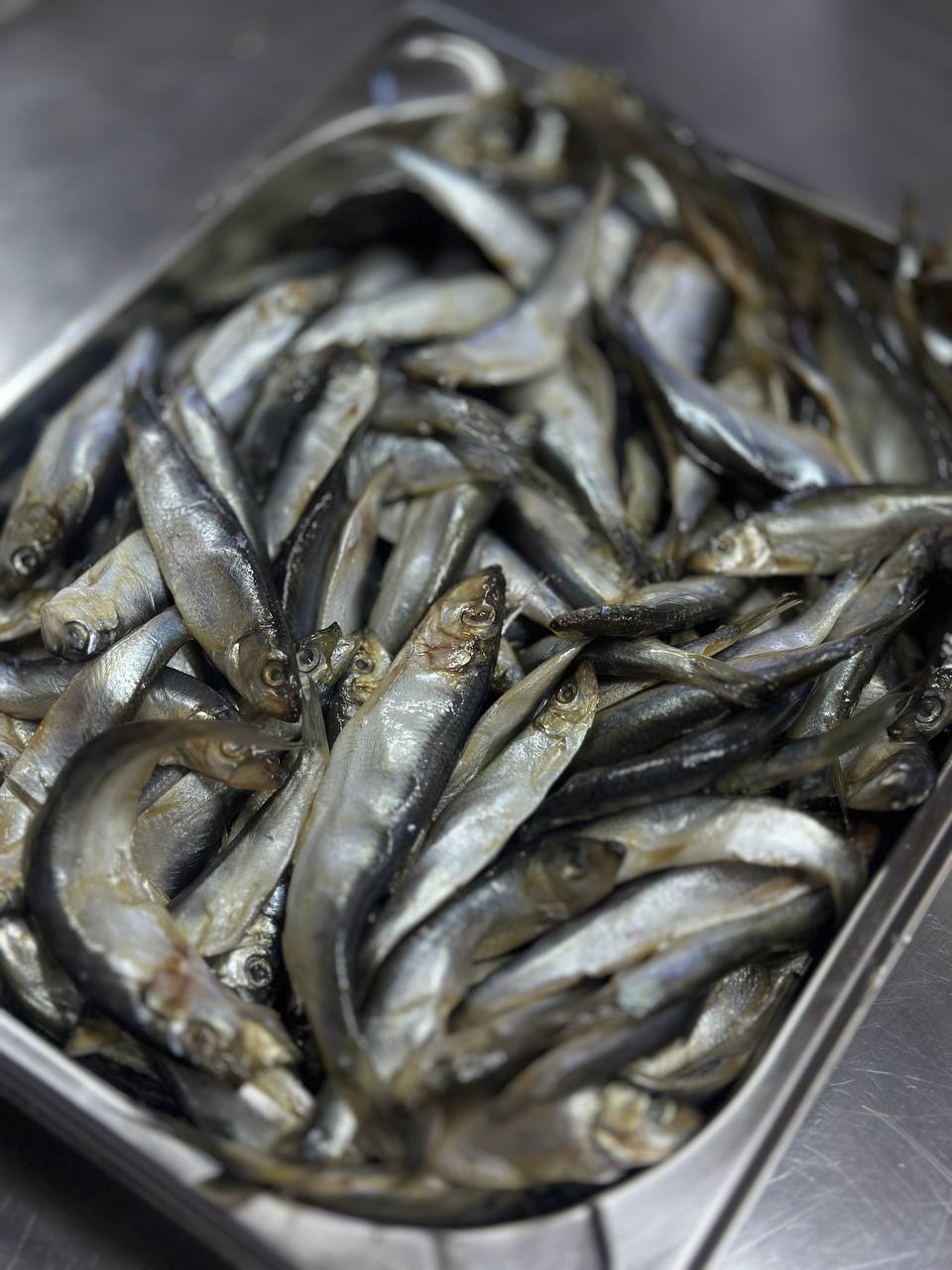 Хамса малосольна провісна